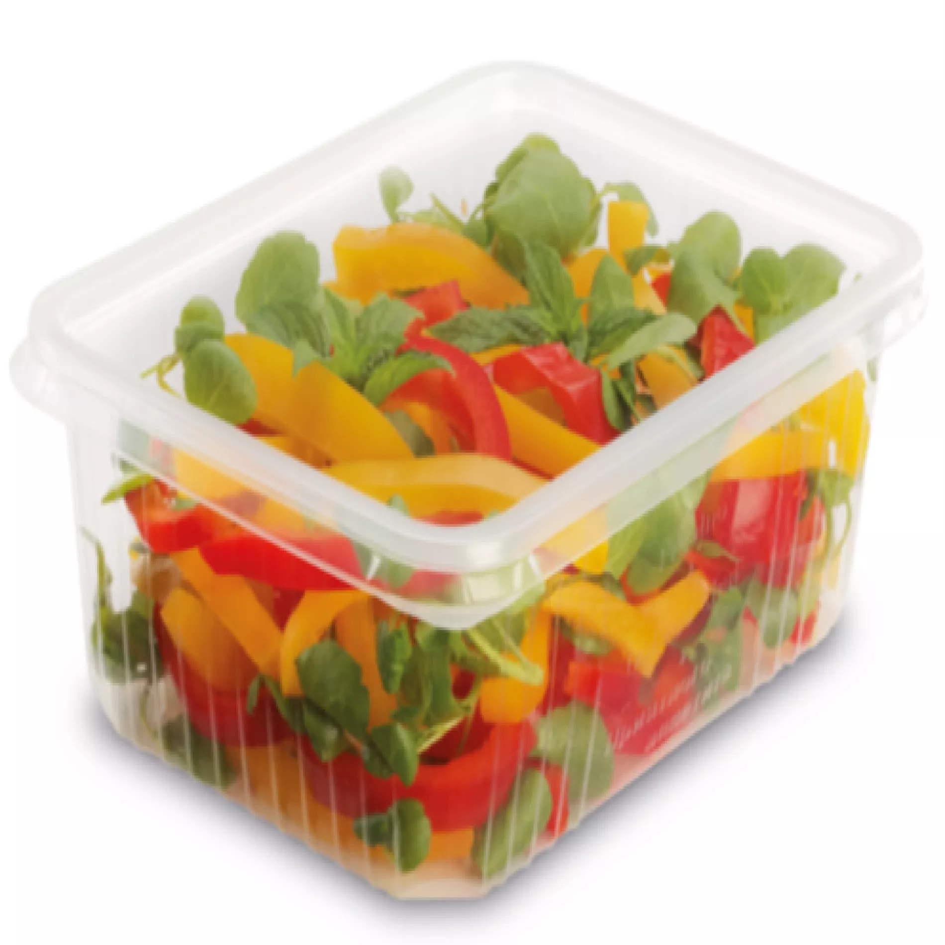 Barquettes micro-ondables Pratipack Visuel